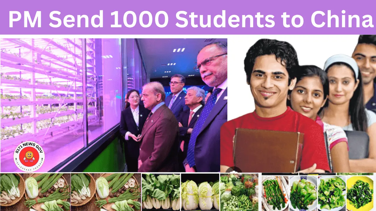 PM Shehbaz Sharif to Send 1000 Students to China for Advanced Agricultural Training